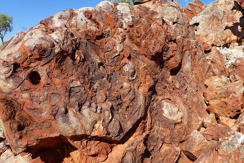 Strelley Pool Formation in the Pilbara Craton, Australia 