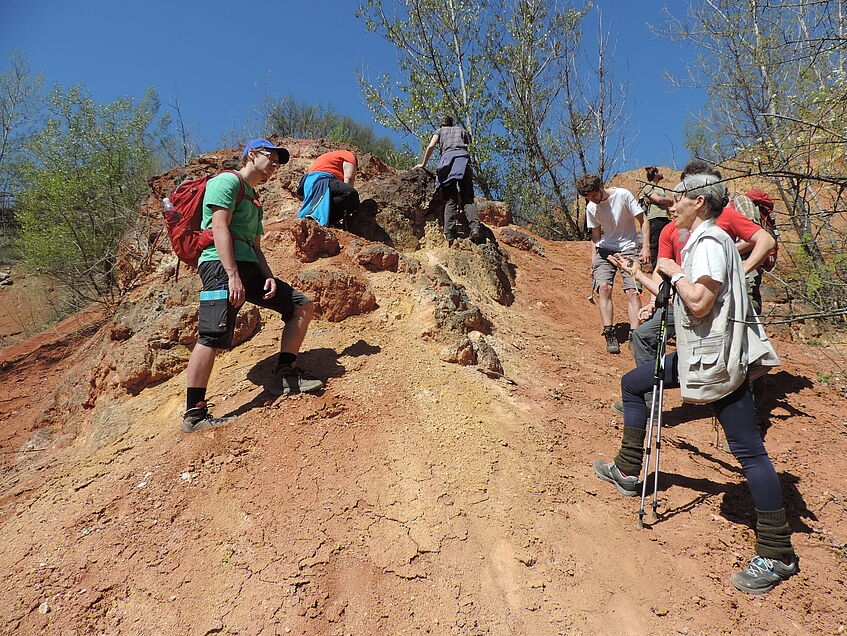 Crust at the base of the bauxite