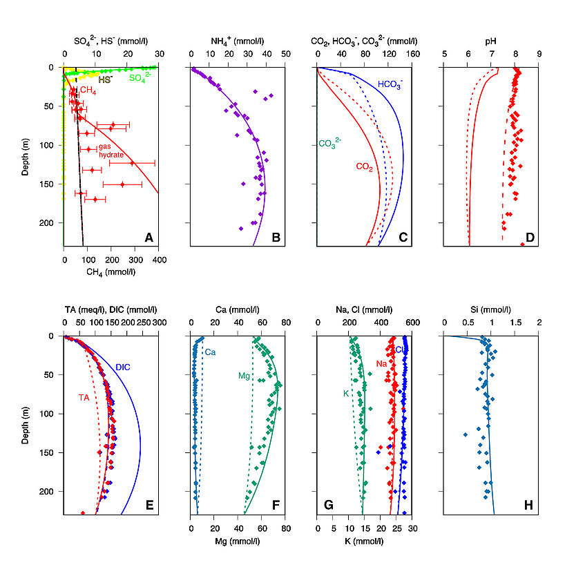 Porewater Concentration Profiles