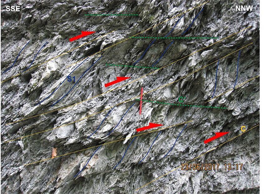 SCC’-fabrics in a marl-rich formation