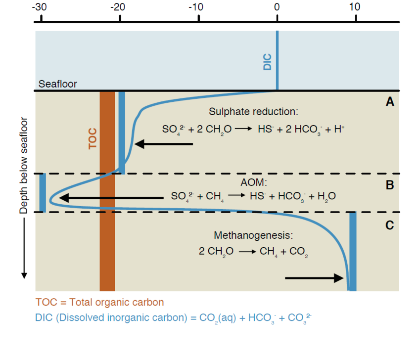 The carbon-isotope record of the sub-seafloor biosphere